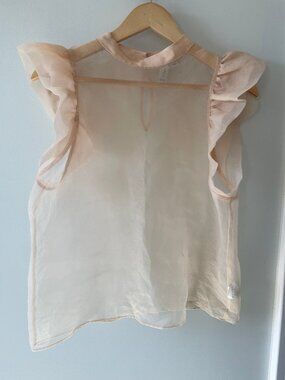 Joie Sheer Ruffle Sleeve Blouse | Blush Pink Keyhole Top | Size M